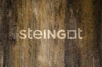 ���������� ������ Steingot ������ "����� ���� Stein Chrome"